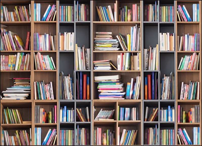 Library - Similkameen Elementary Secondary School
