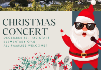 Screenshot 2025 12 08 133849