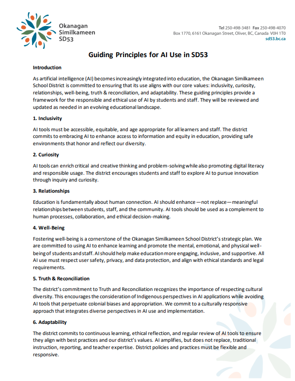 Guiding Principles of AI Use